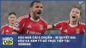 keo nha cai 5 chuan - Kèo Nhà Cái 5 Chuẩn – Bí Quyết Soi Kèo Và Xem Tỷ Số Trực Tiếp Tại Xeng88